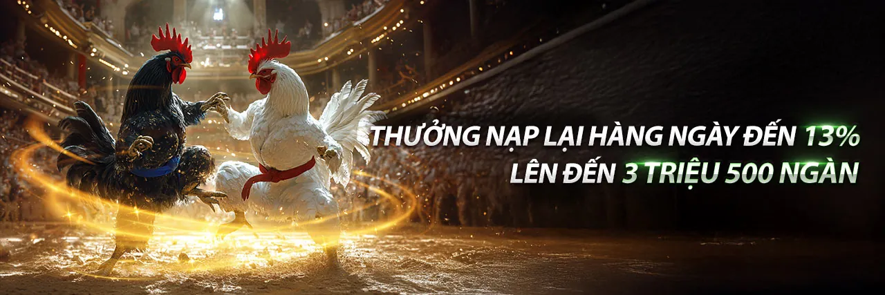 Sân vận động với trận đấu thể thao sôi động tại hi79 login